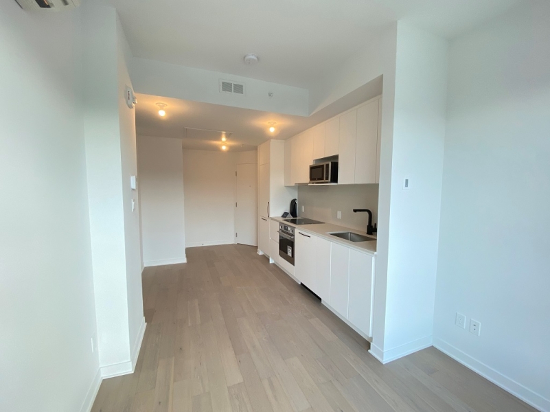 Condo in Montreal DT for rent