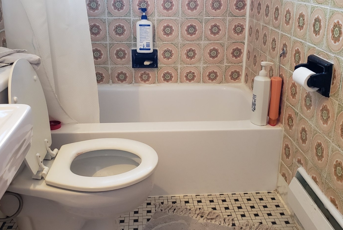 Triplex for sale in Rosemont Montreal