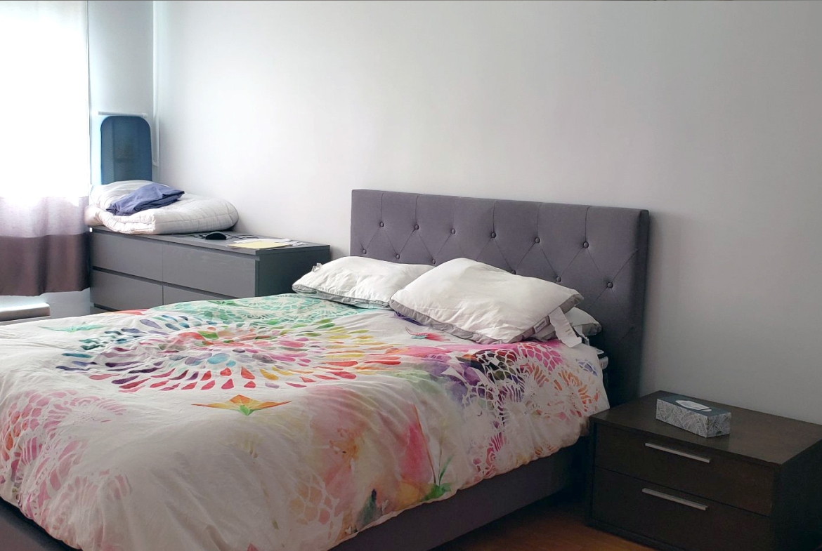Triplex for sale in Rosemont Montreal