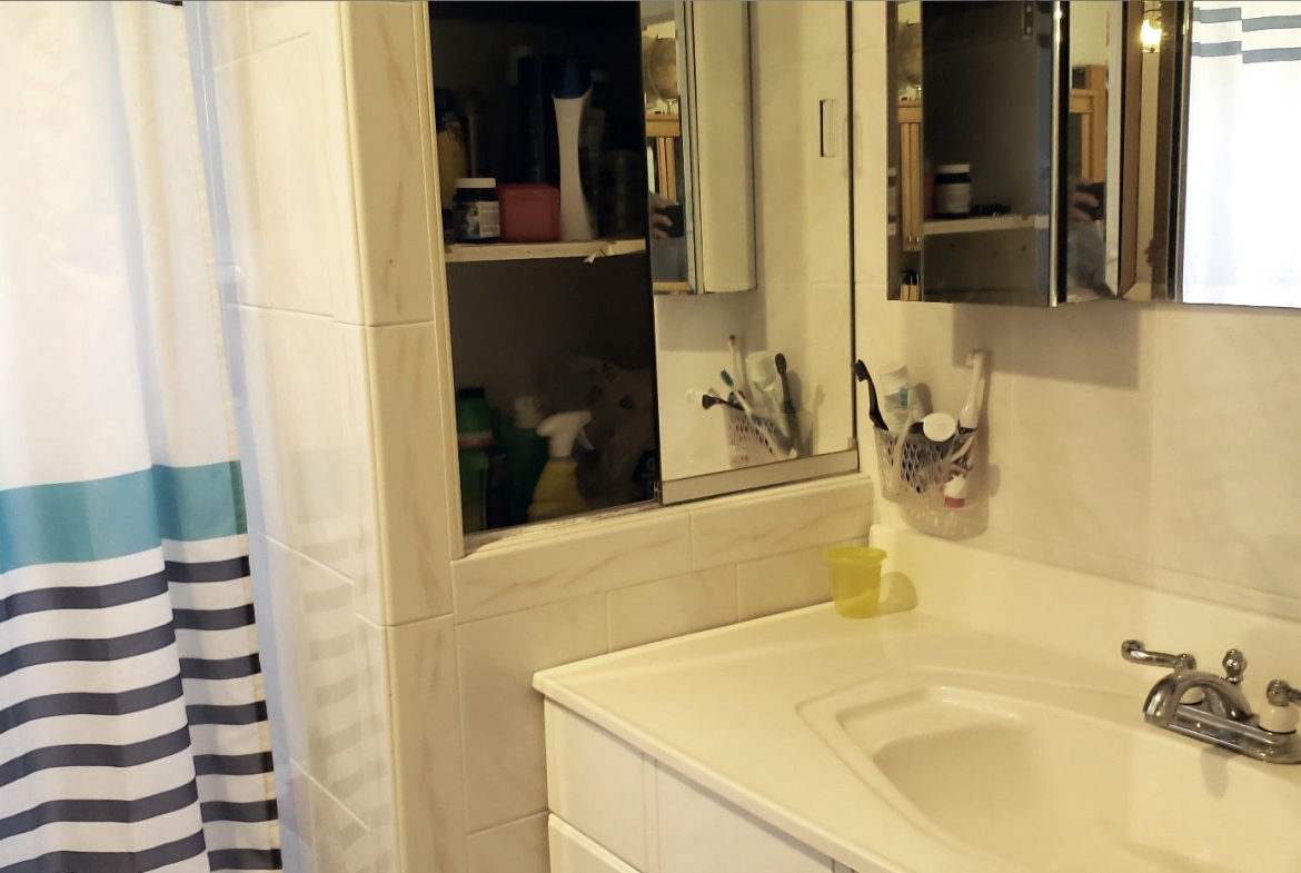 Triplex for sale in Rosemont Montreal