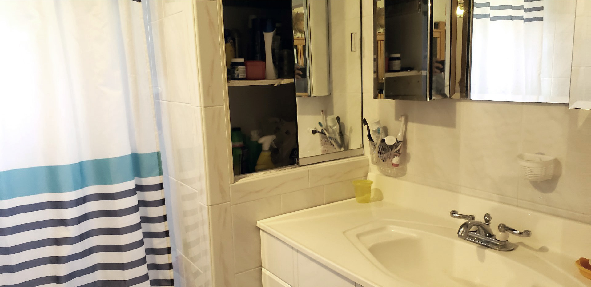 Triplex for sale in Rosemont Montreal