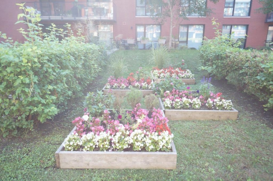 Condo for rent At Bois- Franc, Ville Saint-Laurent