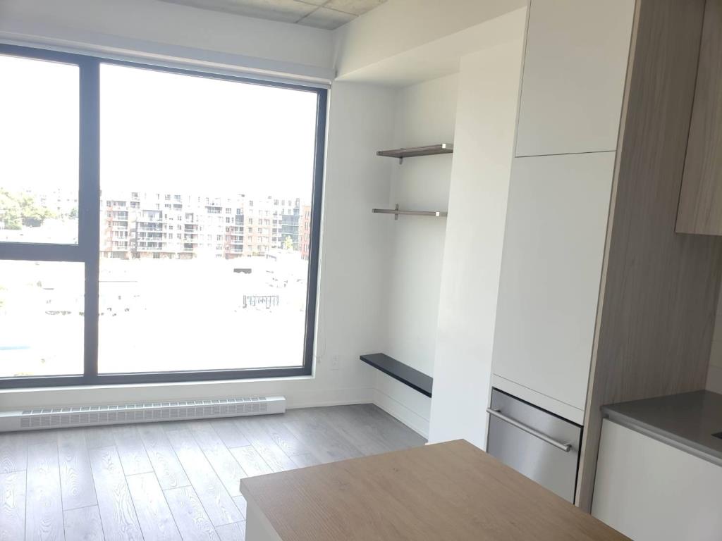 condo for rent at bois -franc