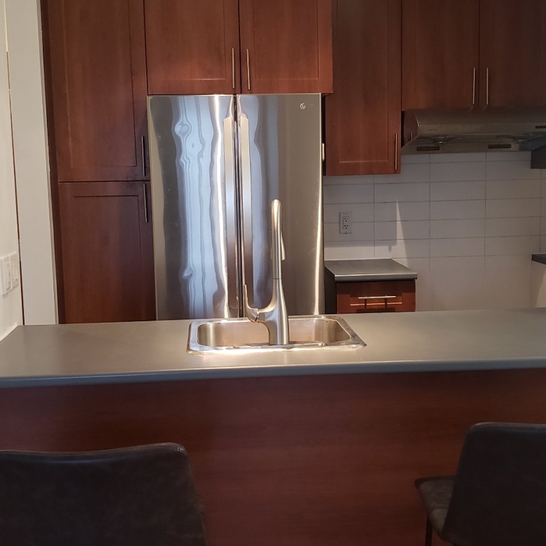 1650-603-rue-st-louis-montreal-ville-saint-laurent