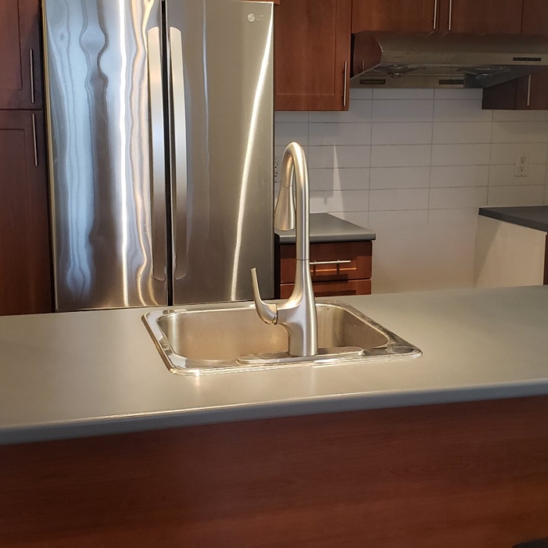 1650-603-rue-st-louis-montreal-ville-saint-laurent