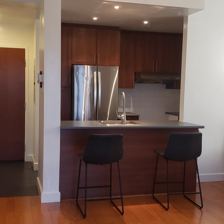 1650-603-rue-st-louis-montreal-ville-saint-laurent