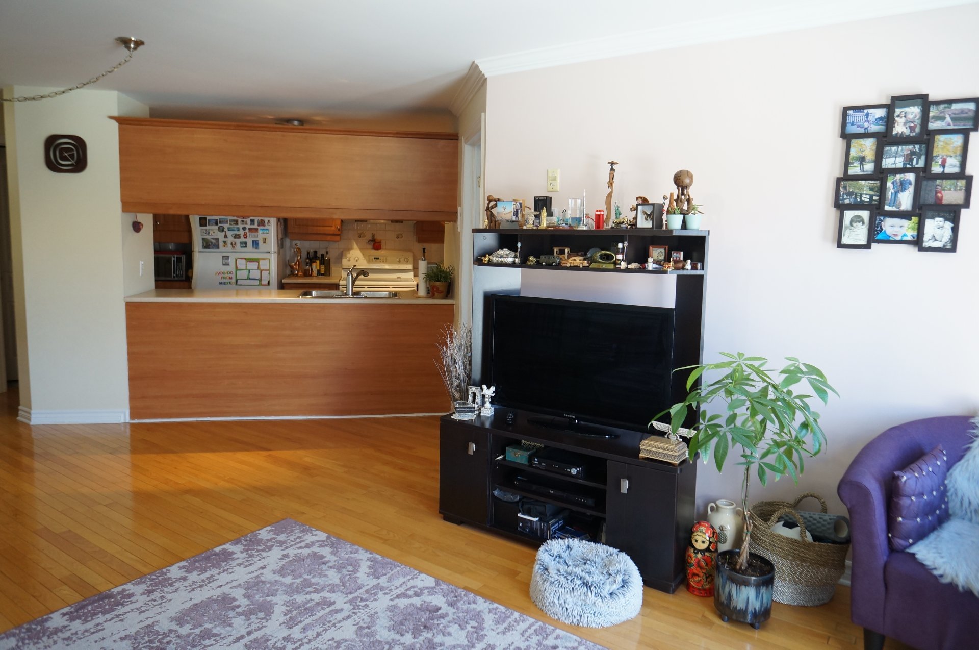 Services immobiliers a Montréal