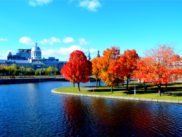 Immobilier montreal